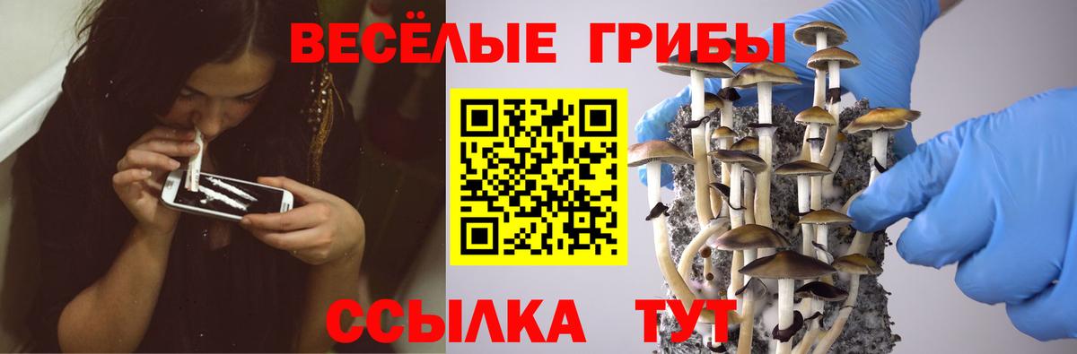 Галлюциногенные грибы ЛСД  Галлюциногенные грибы MAGIC MUSHROOMS  Вход с VPN  Гусь-Хрустальный 